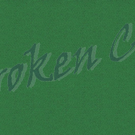 Tuch Championship 4045 Teflon - Farbe  grün