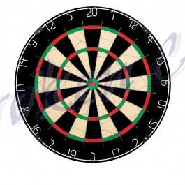 NPQ Steeldartboard