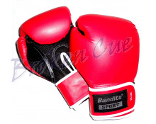 Boxhandschuhe - 12 Unzen (Größe L/XL)