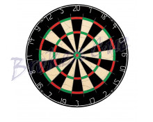 NPQ Steeldartboard